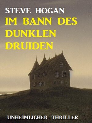 cover image of Im Bann des dunklen Druiden